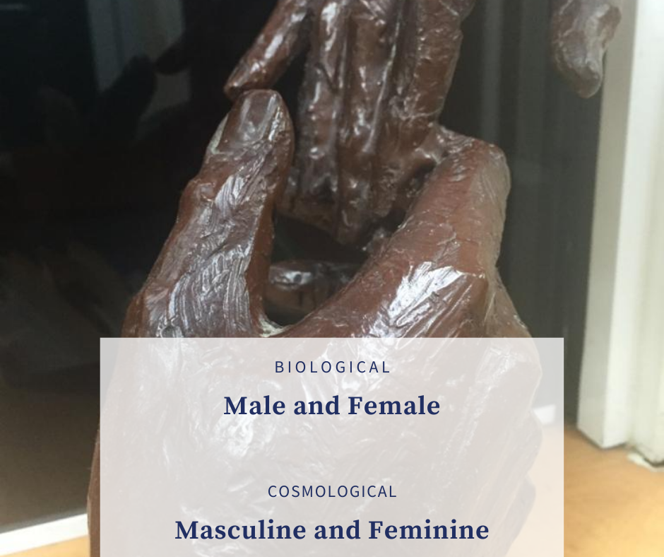 Male and Female